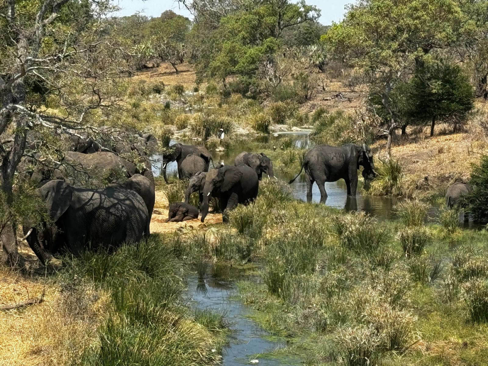 Mietwagenreise Südafrika