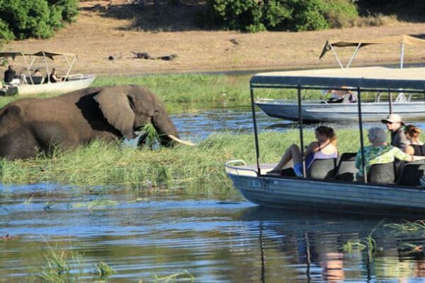 botswana chobe mietwagenreise feature image