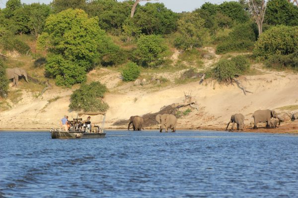 Fotosafari Elefante vom Wasser