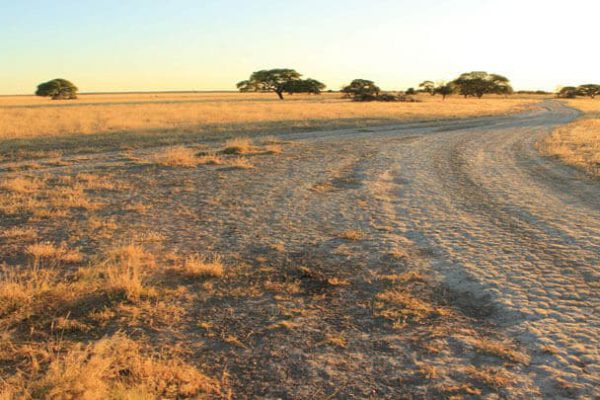 botswana flugsafari kalahari zalzpfannen feature image