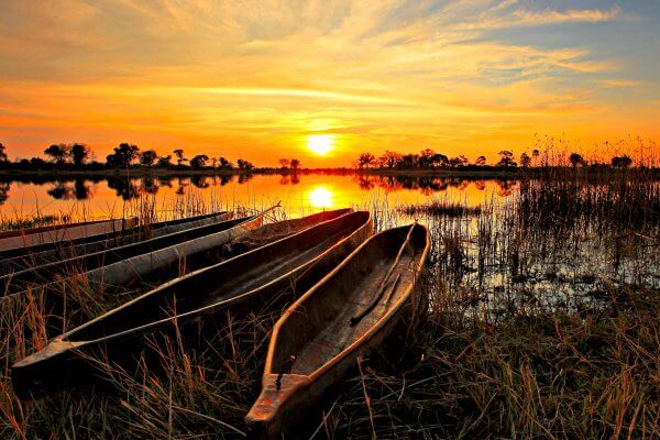 Botswana; Okavango Delta Sundowner