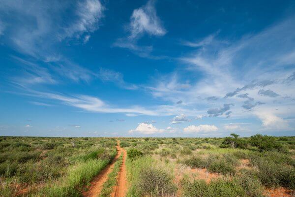 Kgalagadi Weg Südafrika