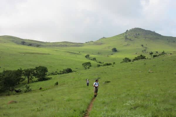 sunway swaziland malolotja grüne Wiese